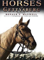 Horses of Gettysburg Poster
