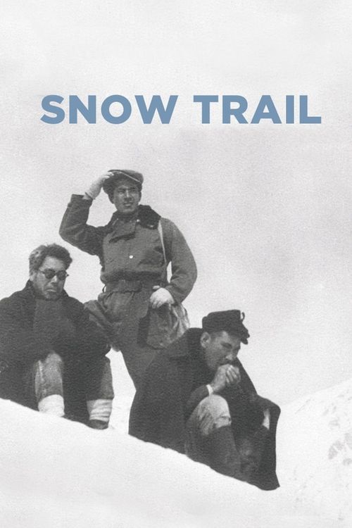 Snow Trail Poster