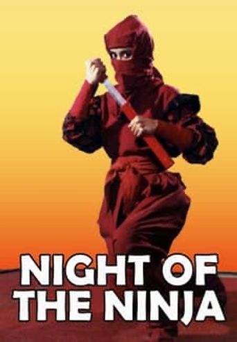  Night of the Ninja Poster