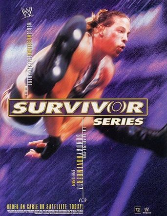  WWE Survivor Series 2002 Poster