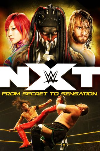  NXT: From Secret To Sensation Poster