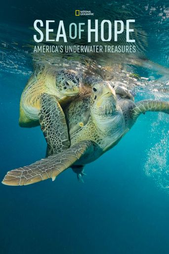  Sea of Hope: America's Underwater Treasures Poster