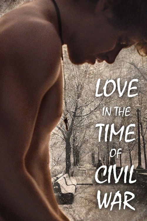 Love in the Time of Civil War Poster