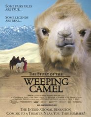  Die Geschichte vom weinenden Kamel Poster