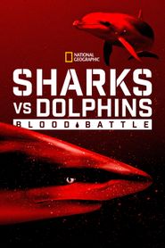  Sharks vs. Dolphins: Blood Battle Poster