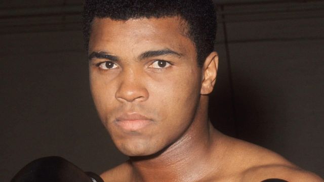 Float Like a Butterfly, Sting Like a Bee Backdrop