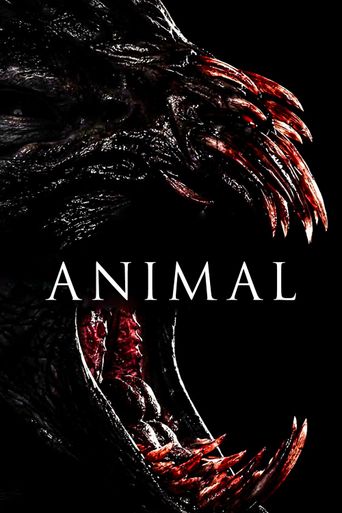  Animal Poster