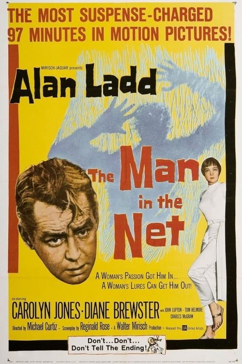 The Man in the Net Poster