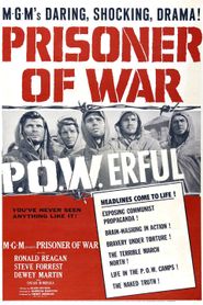  Prisoner of War Poster