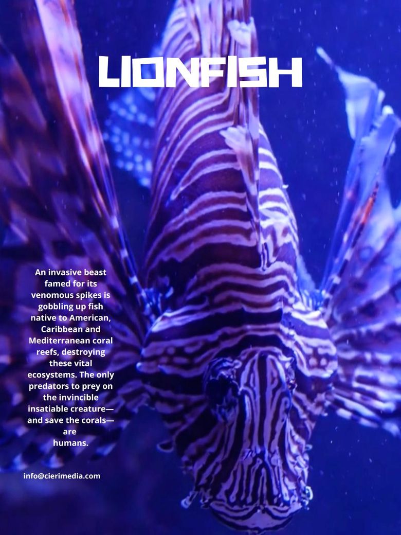 Lionfish an Invasive Species