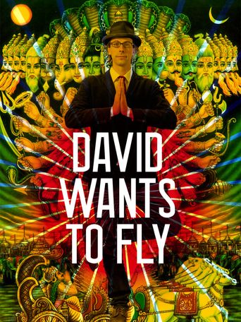  David Wants to Fly Poster
