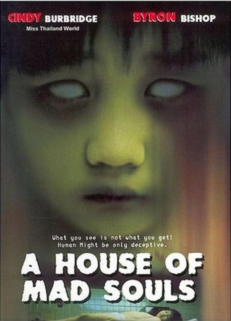 A House of Mad Souls Poster