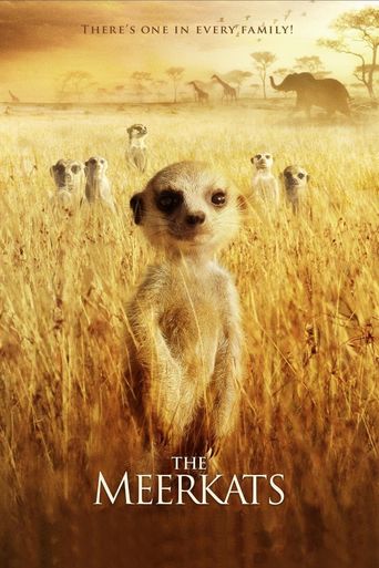 The Meerkats Poster