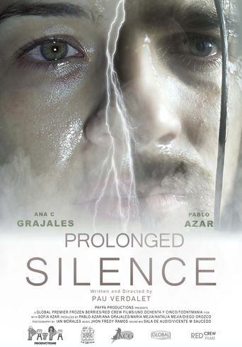  Un silencio prolongado Poster
