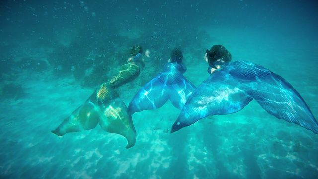 The3Tails Movie: A Mermaid Adventure Backdrop