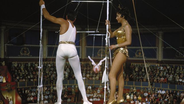 Trapeze Backdrop