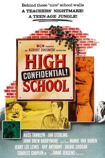  High School Confidential! Poster