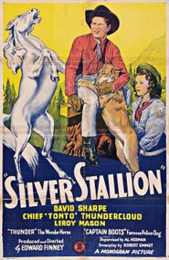  Silver Stallion Poster
