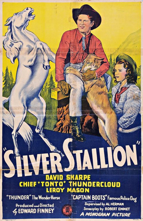 Silver Stallion Poster
