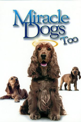  Miracle Dogs Too Poster