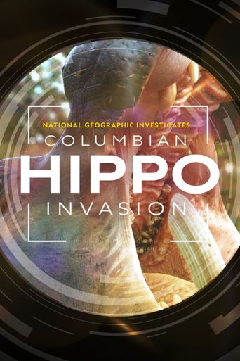  National Geographic Investigates - Invaders: Colombia's Hippos Poster