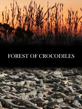  Forest of Crocodiles Poster