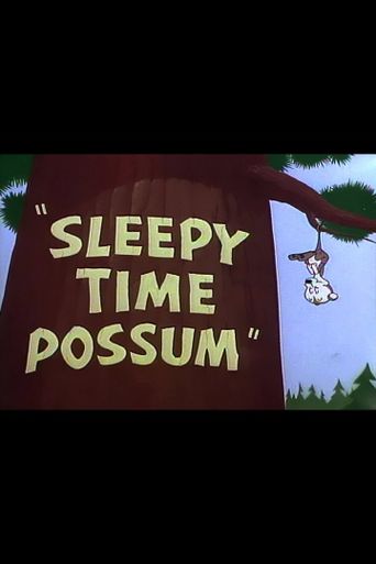  Sleepy Time Possum Poster