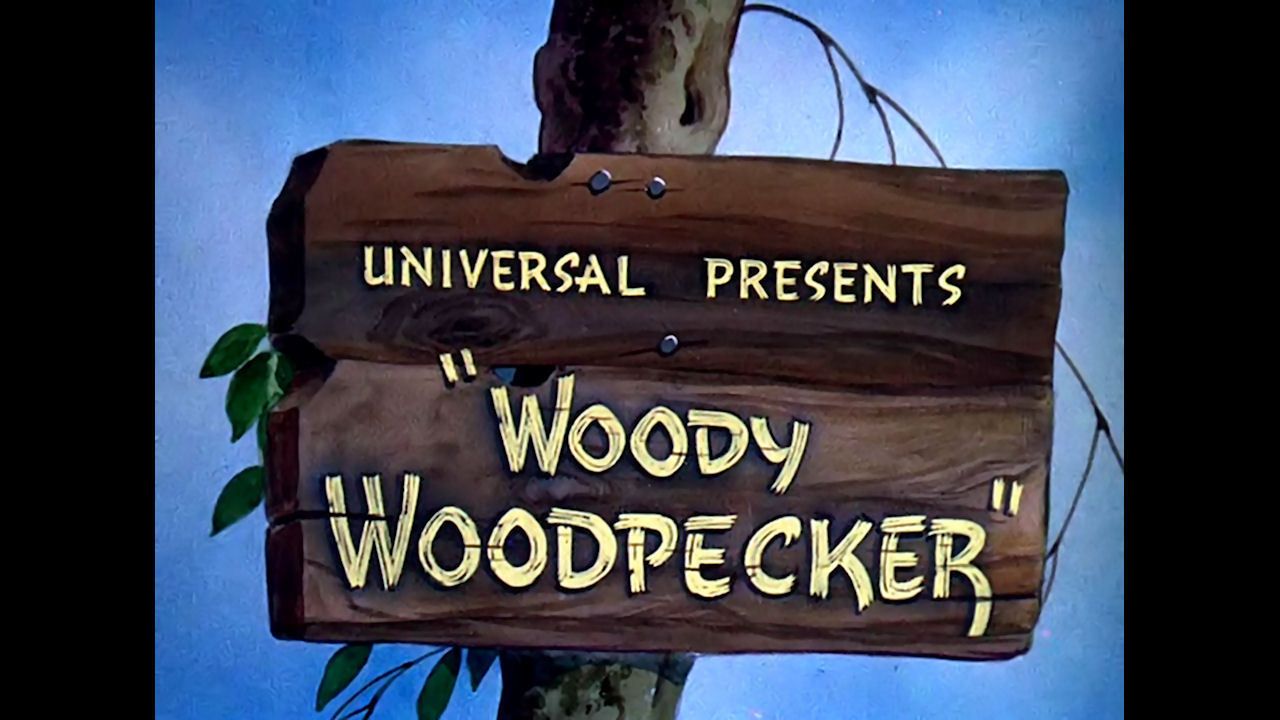 Woody Woodpecker Backdrop