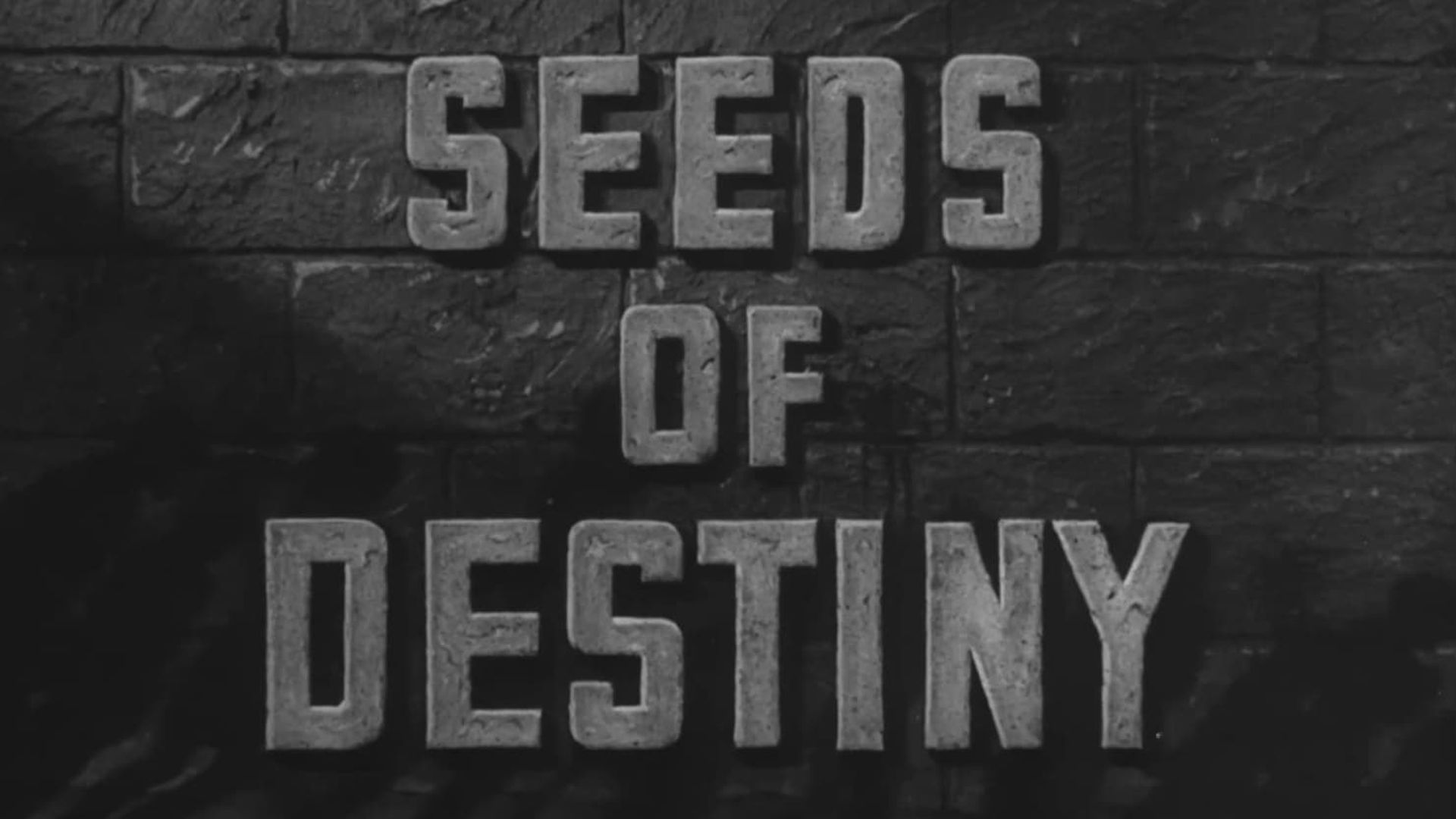 Seeds of Destiny Backdrop