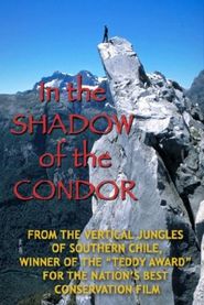  In the Shadow of the Condor Poster