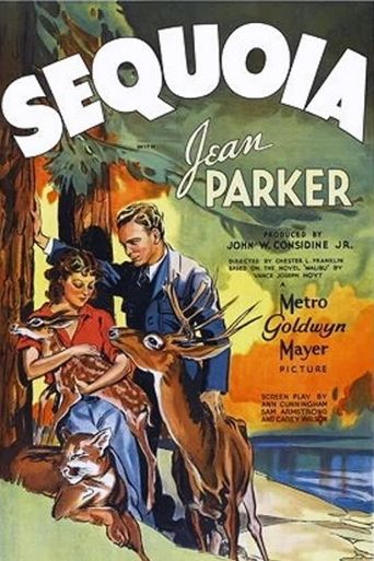  Sequoia Poster