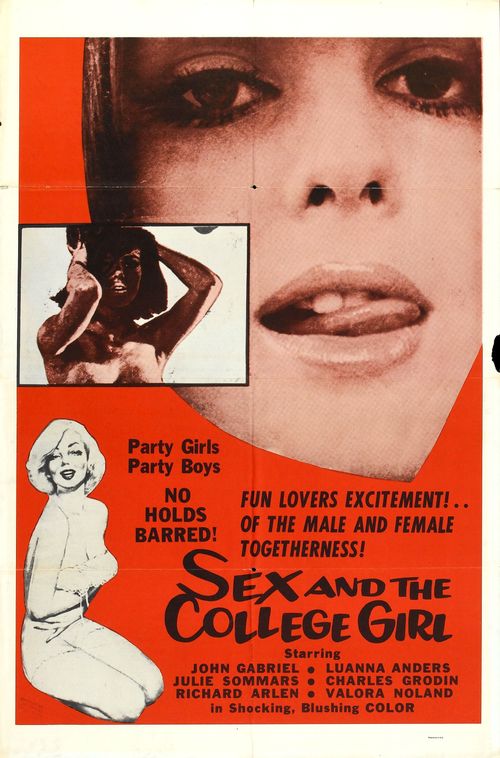 Sex and the College Girl Poster