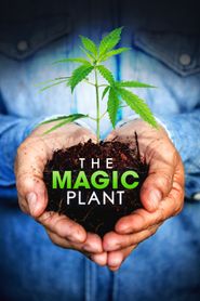  The Magic Plant Poster
