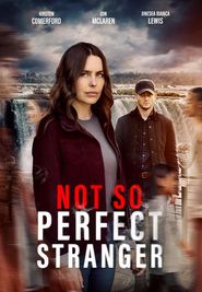  Not So Perfect Stranger Poster