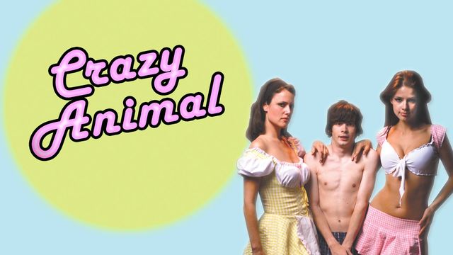 Crazy Animal Backdrop