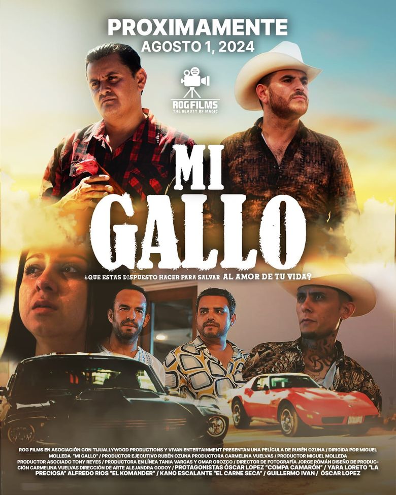 Mi gallo