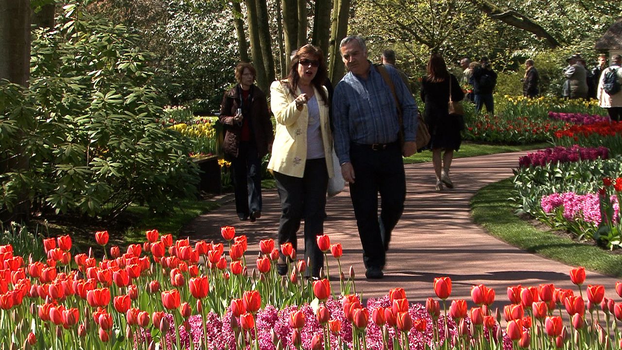 Keukenhof Gardens and the Dutch Flower Parade Backdrop