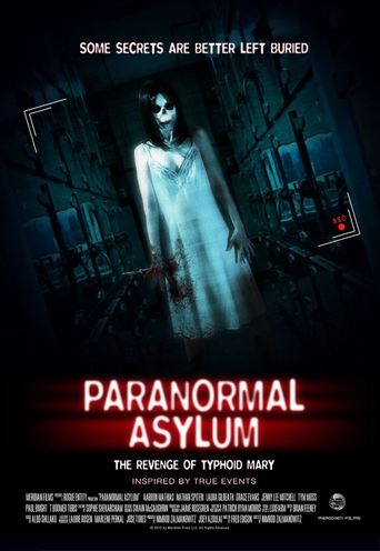  Paranormal Asylum Poster