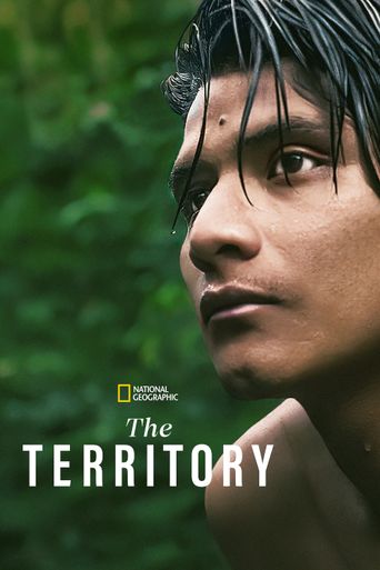  The Territory Poster