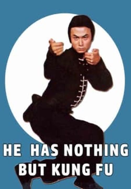 He Has Nothing But Kung Fu Poster