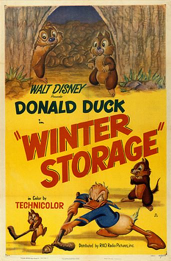  Winter Storage Poster