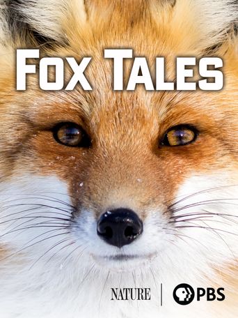  Fox Tales Poster