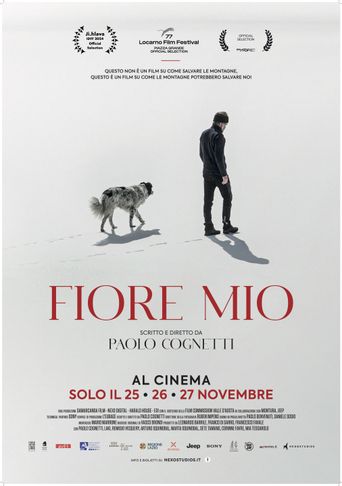 Fiore mio Poster