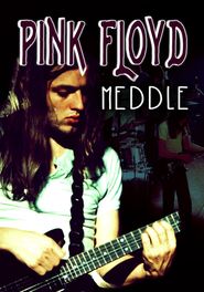  Rock Milestones: Pink Floyd: Meddle Poster