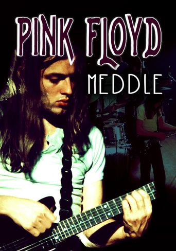  Rock Milestones: Pink Floyd: Meddle Poster