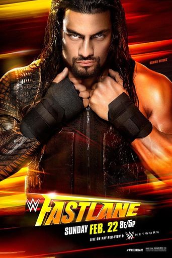 WWE Fastlane 2015 Poster