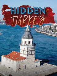  Hidden Turkey Poster
