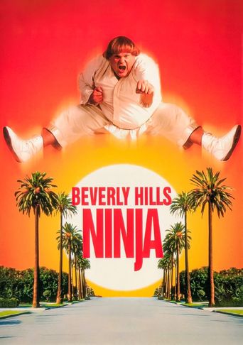 Upcoming Beverly Hills Ninja Poster