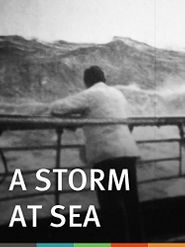 A Storm at Sea Poster