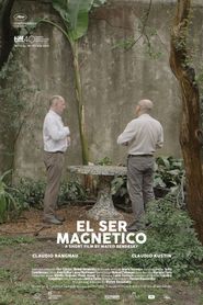  The Magnetic Nature Poster